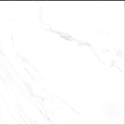 CIRCLE.SATUARIO80