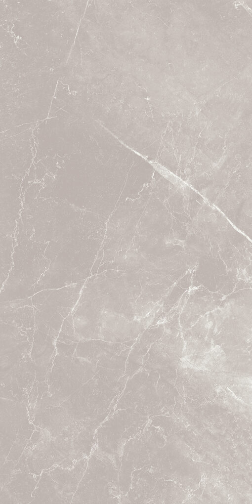 Gạch ốp lát 36P021C