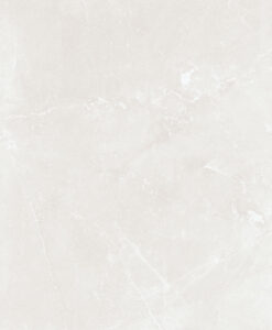 Gạch ốp lát 36P022A