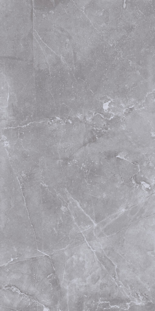 Gạch ốp lát 36P022C