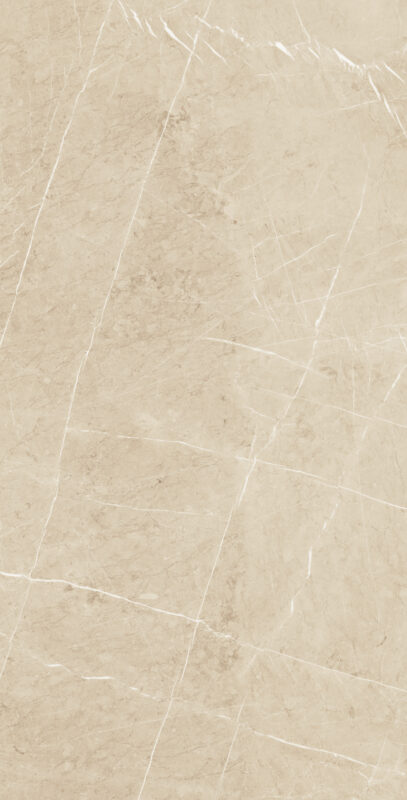 Showroom gạch TBVS Lyarchcenter