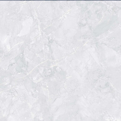 Gạch Viglacera TS 60*60 Granite Matt CL-GM6609