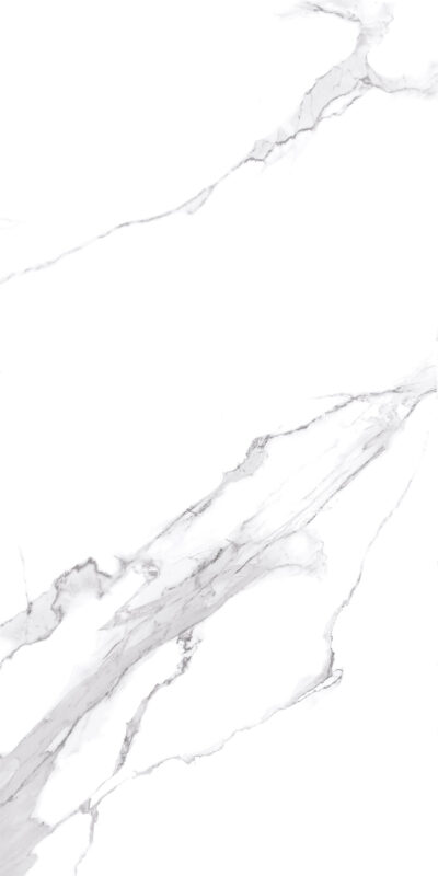 Showroom gạch TBVS Lyarchcenter