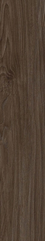 Showroom gạch TBVS Lyarchcenter